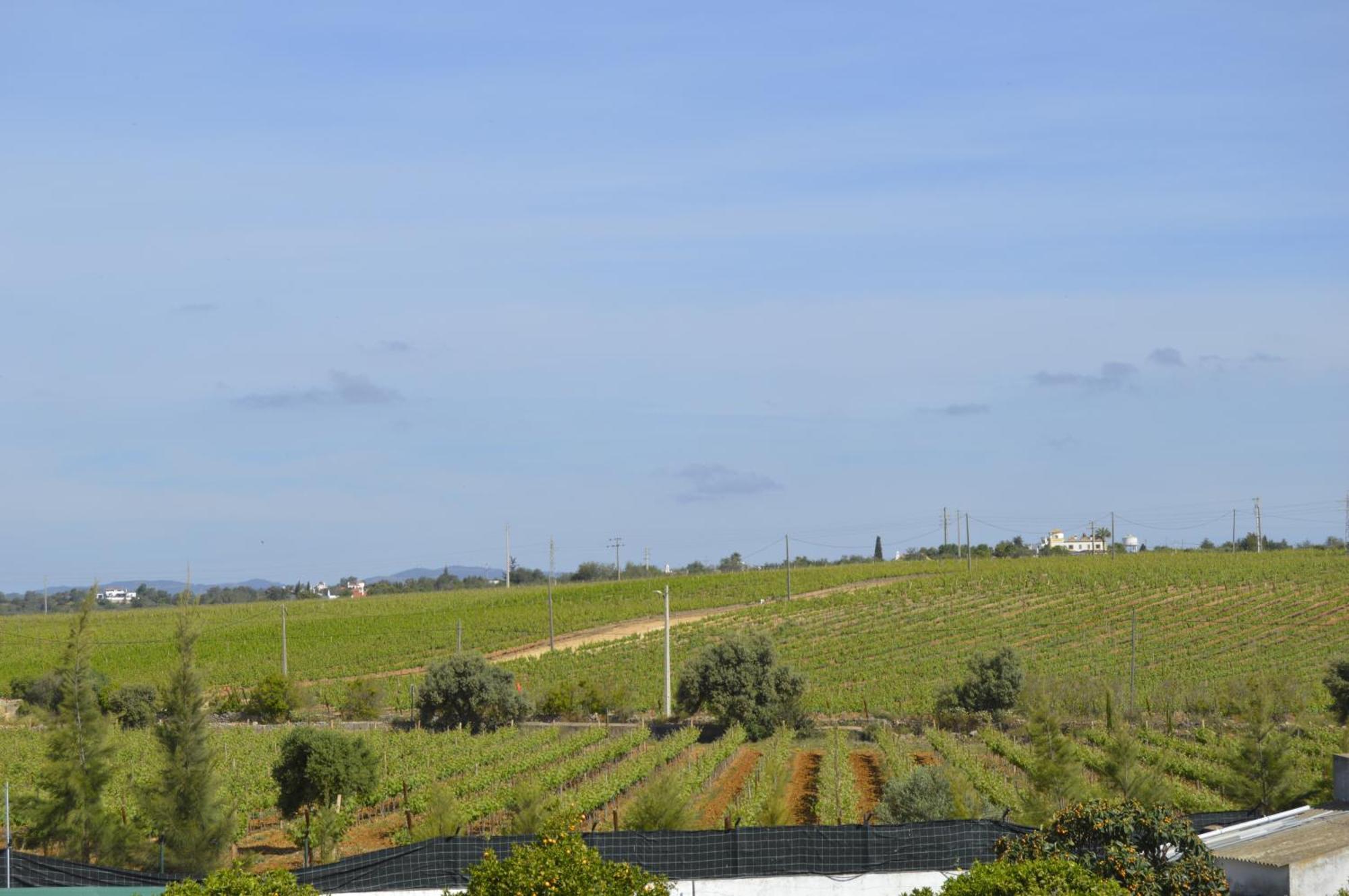 Tavira Vacations Apartments Екстер'єр фото
