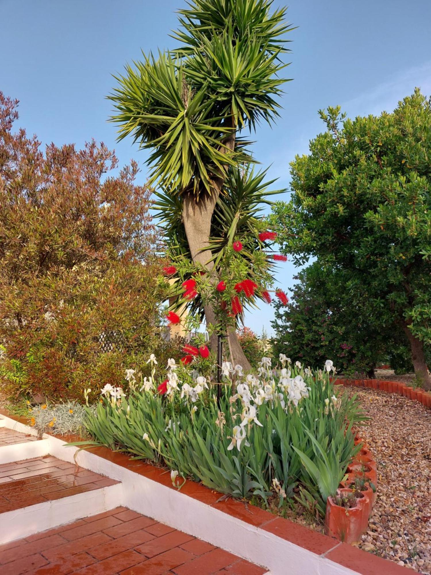 Tavira Vacations Apartments Екстер'єр фото